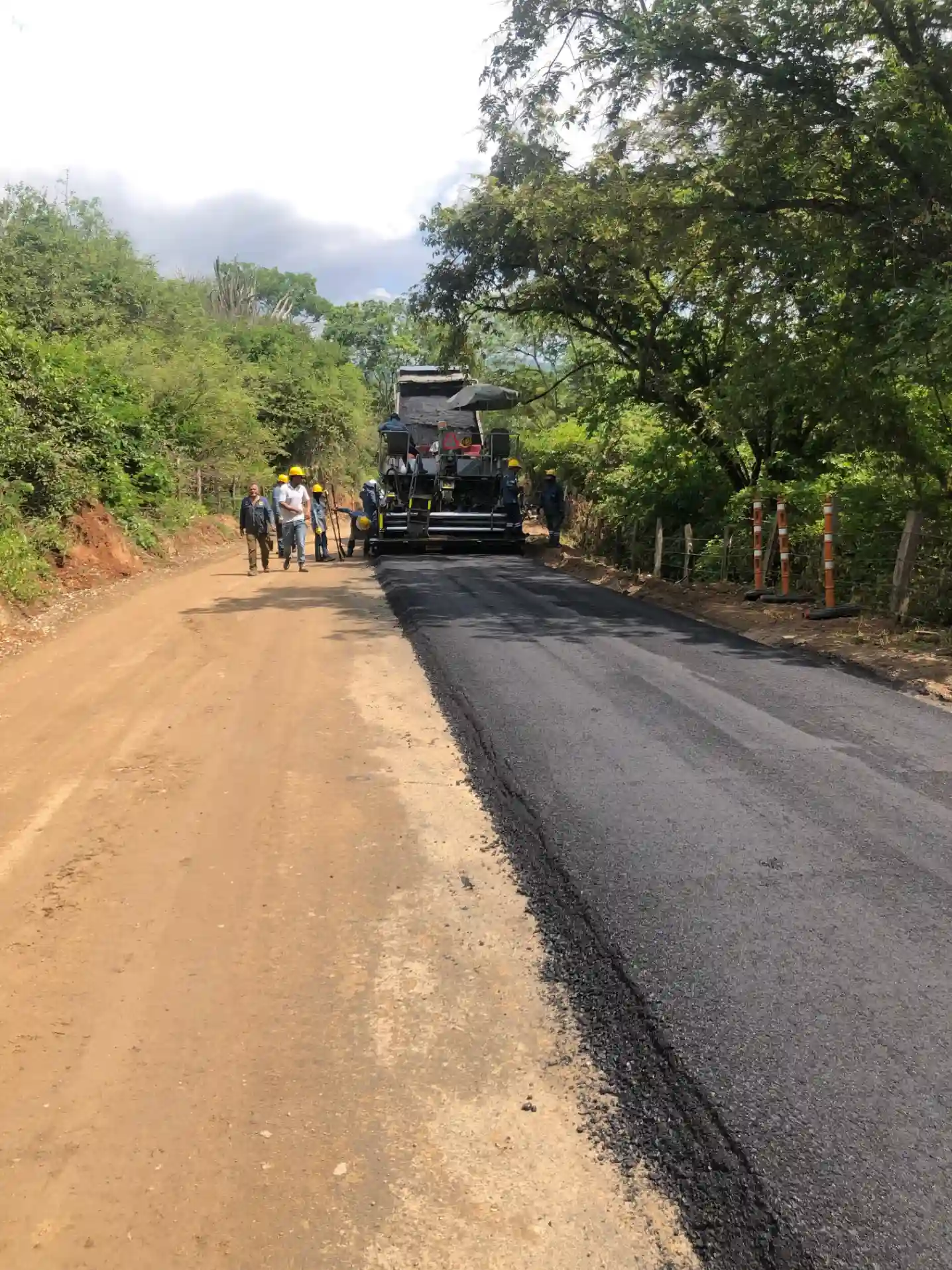 Extracción de núcleos en vía para análisis de densidad